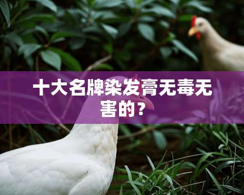 十大名牌染发膏无毒无害的？