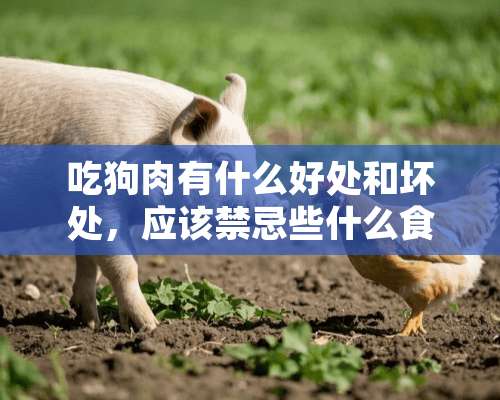 吃狗肉有什么好处和坏处，应该禁忌些什么食物？