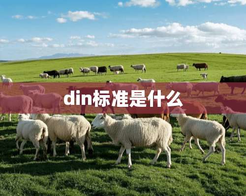 din标准是什么