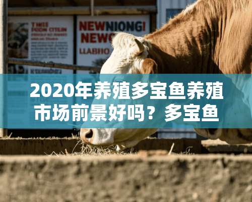 2020年养殖多宝鱼养殖市场前景好吗？多宝鱼该怎样养殖呢？