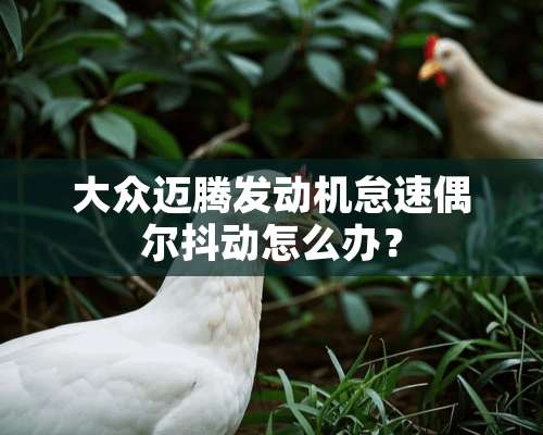 大众迈腾发动机怠速偶尔抖动怎么办？