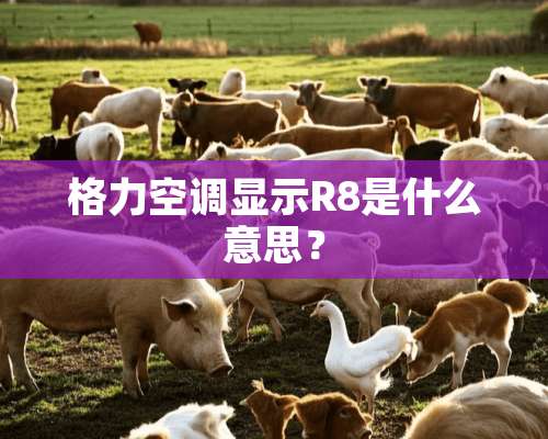 格力空调显示R8是什么意思？