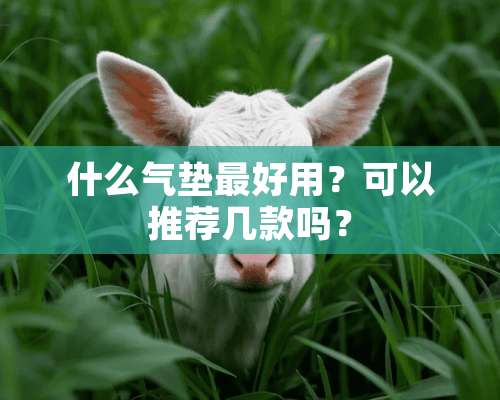 什么气垫最好用？可以推荐几款吗？