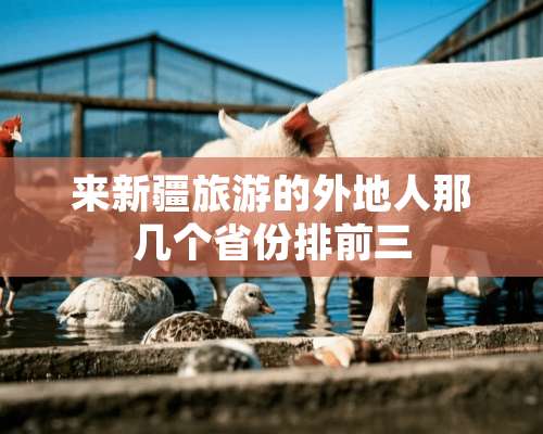 来新疆旅游的外地人那几个省份排前三