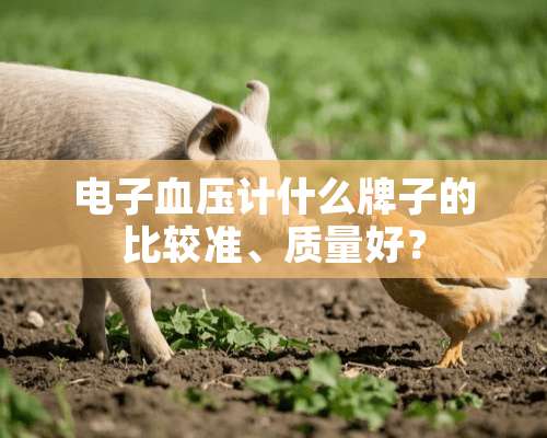 电子血压计什么牌子的比较准、质量好？