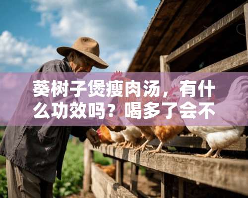 葵树子煲瘦肉汤，有什么功效吗？喝多了会不会中毒。