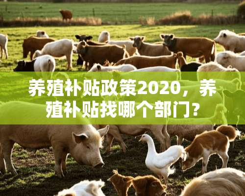 养殖补贴政策2020，养殖补贴找哪个部门？