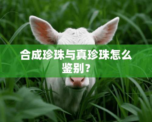 合成珍珠与真珍珠怎么鉴别？