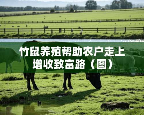 竹鼠养殖帮助农户走上增收致富路（图）