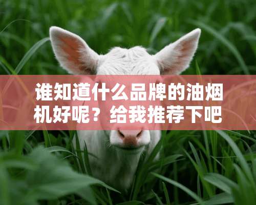 谁知道什么品牌的油烟机好呢？给我推荐下吧。