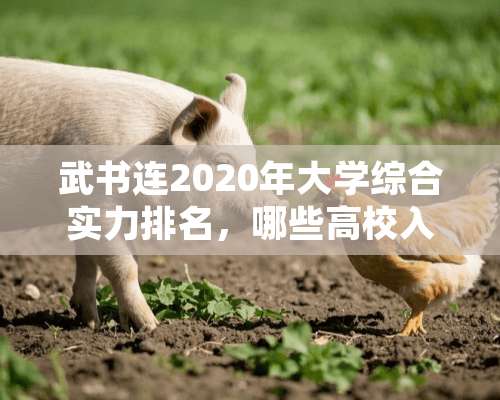 武书连2020年大学综合实力排名，哪些高校入围前十，你怎么看呢？