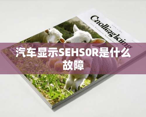 汽车显示SEHS0R是什么故障