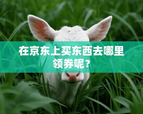 在京东上买东西去哪里领券呢？