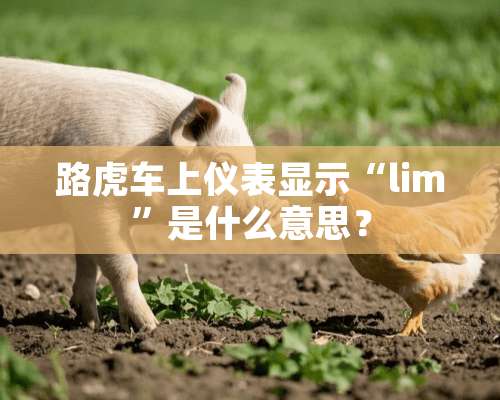 路虎车上仪表显示“lim”是什么意思？