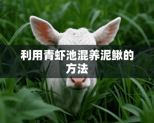 利用青虾池混养泥鳅的方法