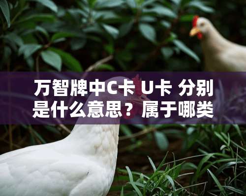 万智牌中C卡 U卡 分别是什么意思？属于哪类牌？ 求解!!!