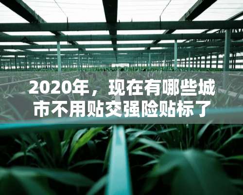 2020年，现在有哪些城市不用贴交强险贴标了？