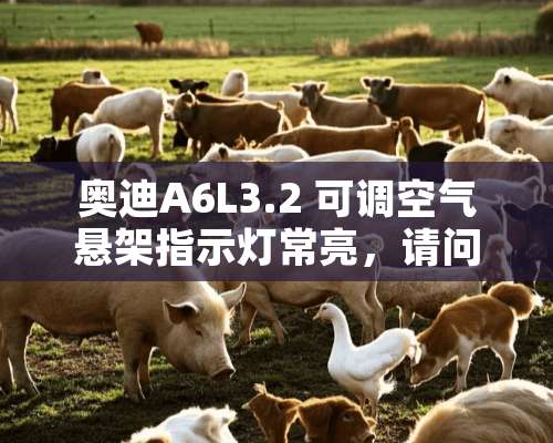 奥迪A6L3.2 可调空气悬架指示灯常亮，请问哪里有故障？