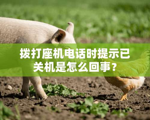 拨打座机电话时提示已关机是怎么回事？