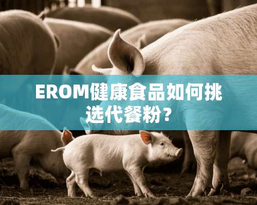 EROM健康食品如何挑选代餐粉？