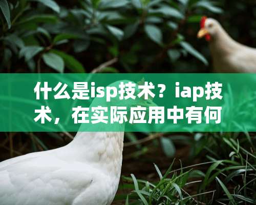 什么是isp技术？iap技术，在实际应用中有何意义