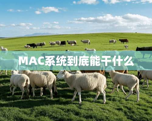 MAC系统到底能干什么