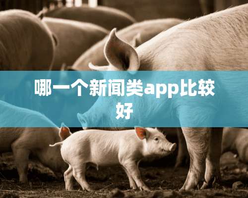 哪一个新闻类app比较好