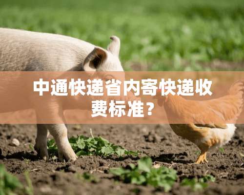 中通快递省内寄快递收费标准？