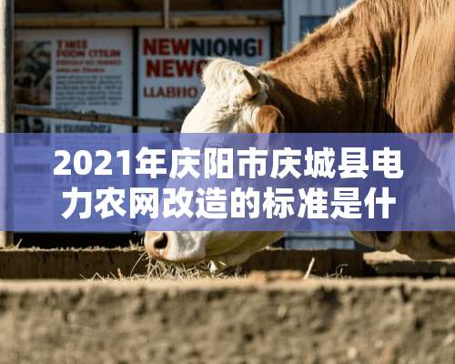 2021年庆阳市庆城县电力农网改造的标准是什么