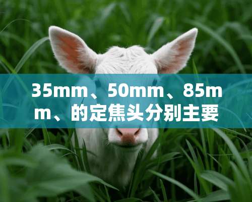 35mm、50mm、85mm、的定焦头分别主要拍摄什么的？适用于什么场合？