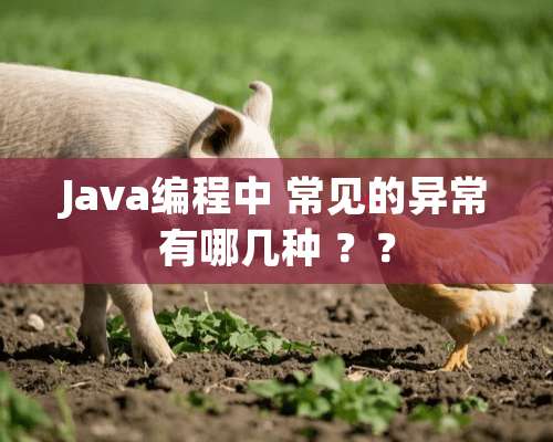 Java编程中 常见的异常有哪几种 ？？