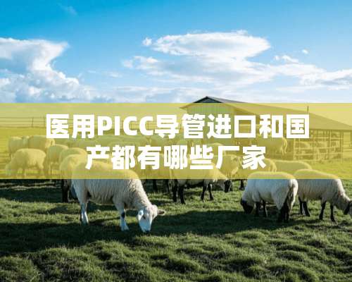 医用PICC导管进口和国产都有哪些厂家