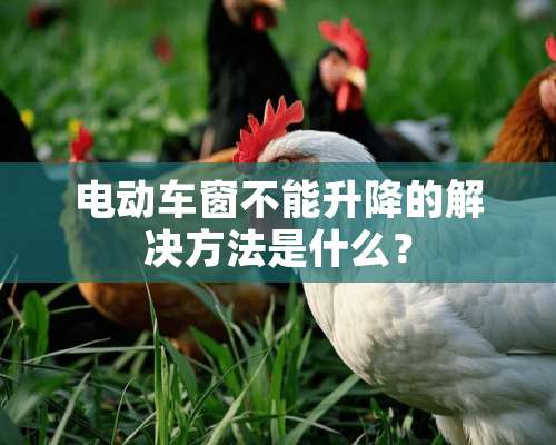 电动车窗不能升降的解决方法是什么？