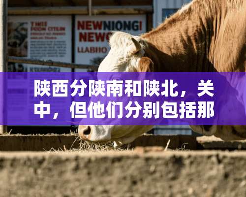 陕西分陕南和陕北，关中，但他们分别包括那几个市？求解答