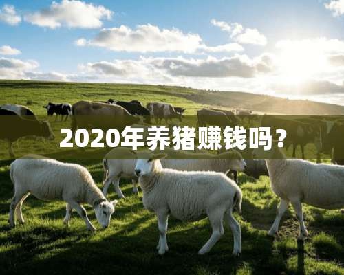 2020年养猪赚钱吗？