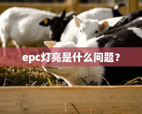 epc灯亮是什么问题？