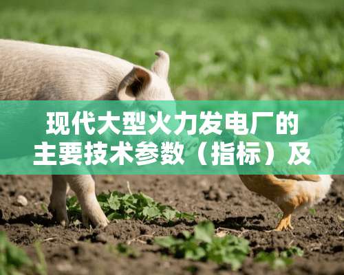 现代大型火力发电厂的主要技术参数（指标）及典型值是什么？