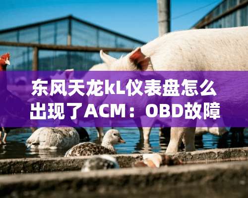 东风天龙kL仪表盘怎么出现了ACM：OBD故障(4090，16）？