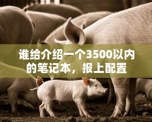 谁给介绍一个3500以内的笔记本，报上配置