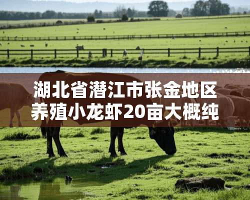 湖北省潜江市张金地区养殖小龙虾20亩大概纯利润年收入多少