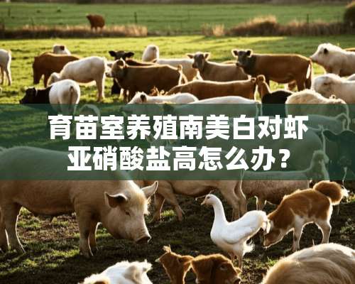 育苗室养殖南美白对虾**酸盐高怎么办？