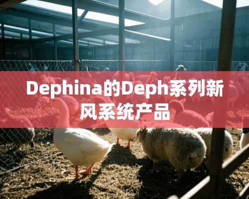 Dephina的Deph系列新风系统产品