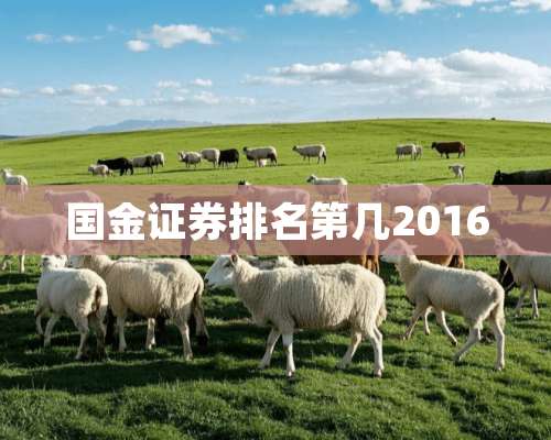 国金证券排名第几2016