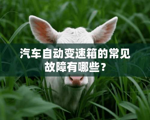 汽车自动变速箱的常见故障有哪些？