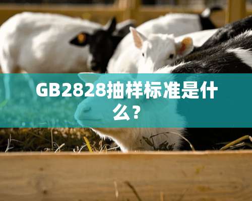 GB2828抽样标准是什么？