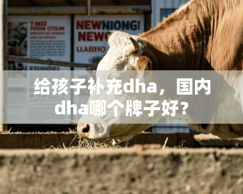 给孩子补充dha，国内dha哪个牌子好？