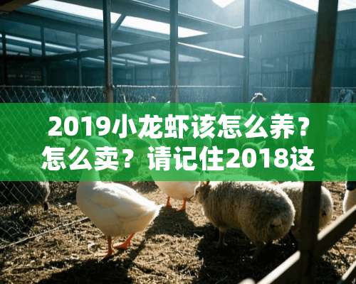 2019小龙虾该怎么养？怎么卖？请记住2018这五大经验教训！