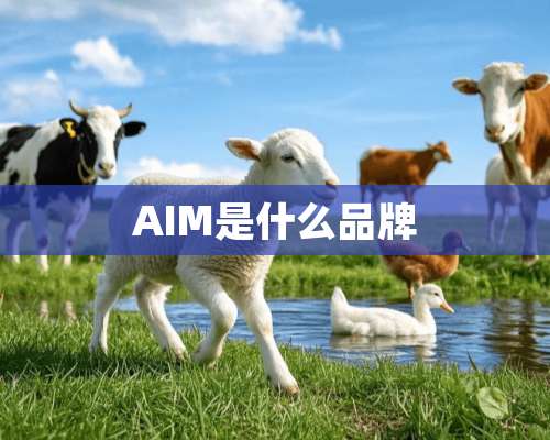 AIM是什么品牌