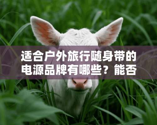 适合户外旅行随身带的电源品牌有哪些？能否推荐一两个