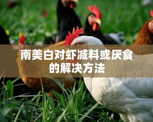 南美白对虾减料或厌食的解决方法